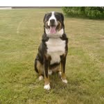 Thomas Below - @belowthomas64 - Instagram
