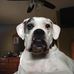 Tom Bemis - Facebook