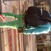 Thomas Benda - Facebook