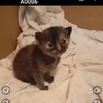 tomas Berardi - @tomas.berardi - Instagram