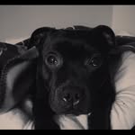 Thomas Bermingham - @bermo7294 - Instagram