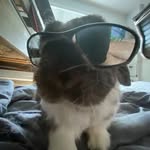 Thomas Bernier - @thomas_bernier883 - Instagram