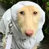 Thomas bernier - @thomas_bernier - TikTok