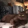 Thomas Bernstorf - @thomas.bernstorf - TikTok