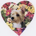 Thomas Bertone - @thomas.bertone - Instagram