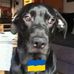 Thomas Bertram - Facebook