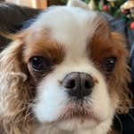 Thomas Bertram - @thomas_bertram1 - Instagram
