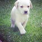 Thomas Bertram - @thomas.bertram.121 - Instagram