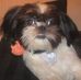 Tom Bertz - Facebook