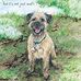 Betti Thomas - Facebook