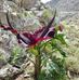 Thomas Bey - Facebook