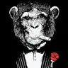 THOMASBEY - @thomasbey0 - TikTok