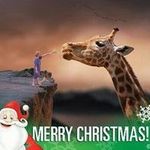 Thomas Biermann - @biermann_thomas - Instagram