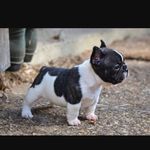 Thomas - @t.biesinger - Instagram