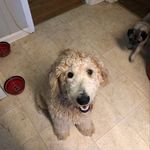 Thomas Kyle Bigham - @tkb2012 - Instagram