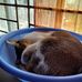 Thomas Bilby - Facebook