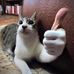 Thomas Bilderback - Facebook