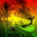 Thomas Billet - Facebook