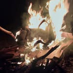 Bombadill - @thomasbillowitz - Instagram