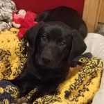 Thomas Bills - @bills3247 - Instagram