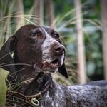 Thomas Binger - @binger.thomas - Instagram