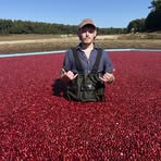 Thomas Birch - Facebook