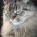 Thomas Birkle - Facebook