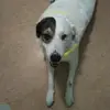 thomasbirkle540 - @christinschoch - TikTok