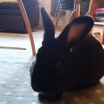 ThomasBjerkeskaug - @2_mas_o_o - Instagram