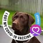 Thomas Blaha - @blahathomas - Instagram