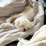 Thomas Blaisdell - @thomas_blaisdell - Instagram