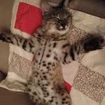 Thomas Blake - @thomas96945 - Instagram