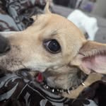 Thomas Blakelock - @arthrogod - Instagram