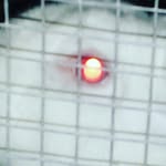 thomas blalock stangl - @thomasblalockstangl - Instagram