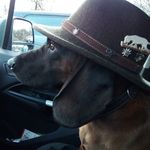 Thomas Blaß - @wfg.blass - Instagram