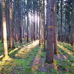 Thomas Blechschmidt - @tomblechi10 - Instagram