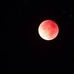 Thomas Bleich - Facebook