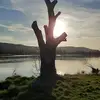 thomasbleicher6 - @thomasbleicher6 - TikTok