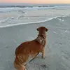 Thomas Bleeker - @thomas.bleeker - TikTok