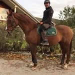 Thomas Blom - @snuckeblom - Instagram