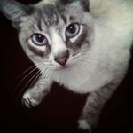 thomas_blond - @_tom_blond_ - Instagram