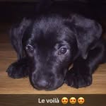 Thomas Girard Blondel - @thomas.girard.1029 - Instagram