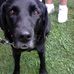 Tom Blosser - Facebook