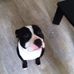 Thomas Blot - Facebook