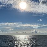 Thomas Blumenthal - @tombluemchen99 - Instagram