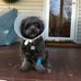 Thomas Blumenthal - Facebook