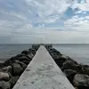 Tomboddy - @thomasboddy - TikTok