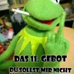 Thomas Bode - @thommy_bode - Instagram