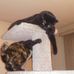 Thomas Bodner - Facebook