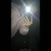 Tom Boettcher - Facebook